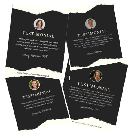 This is a thumbnail showing some testimonials for Panda Virtual Assistant 